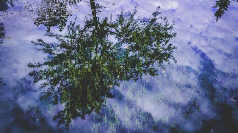 Featured image for Aidebug Net article