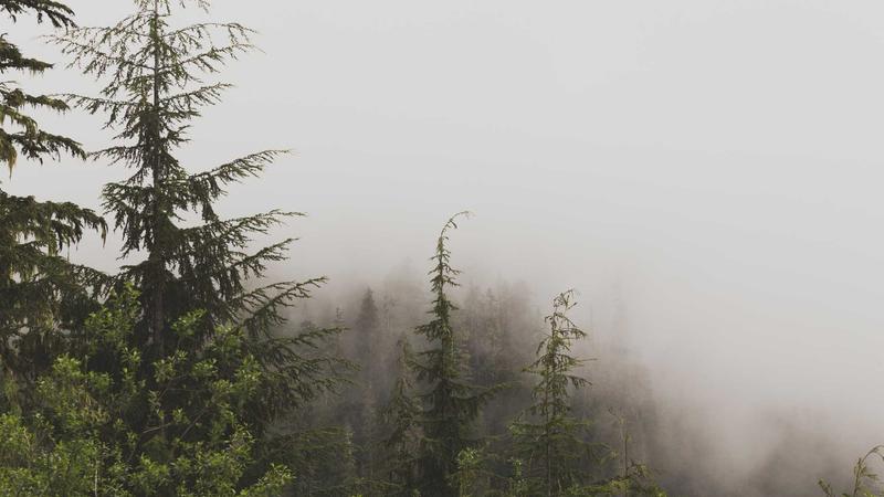 Featured image for Aidebug Net article