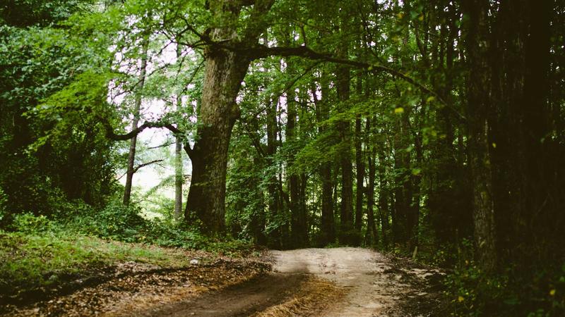 Featured image for Aidebug Net article