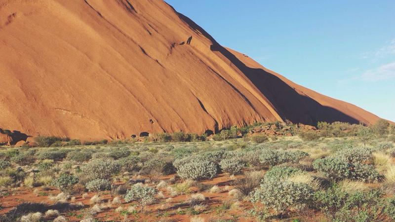 Featured image for Aidebug Net article