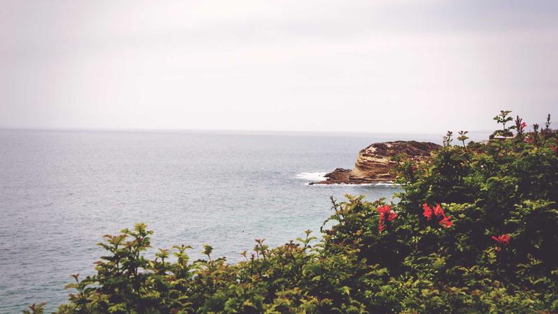 Featured image for Aidebug Net article