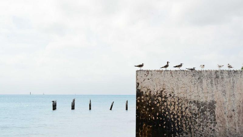 Featured image for Aidebug Net article