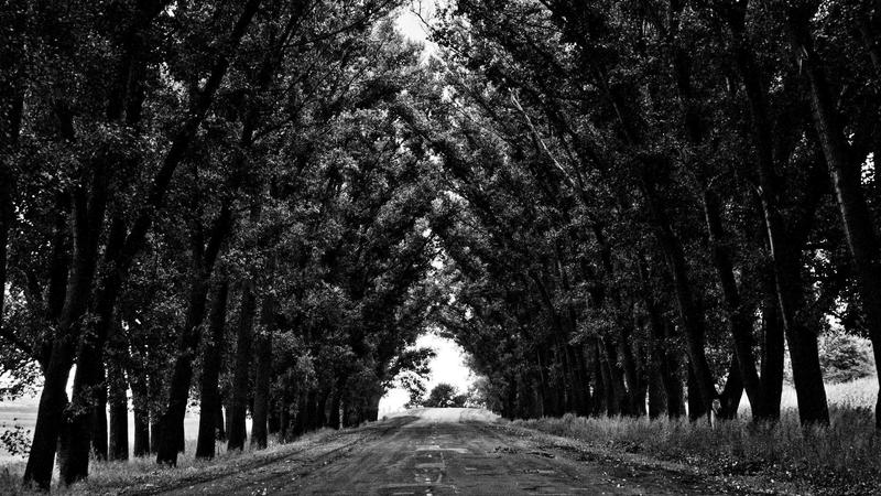 Featured image for Aidebug Net article