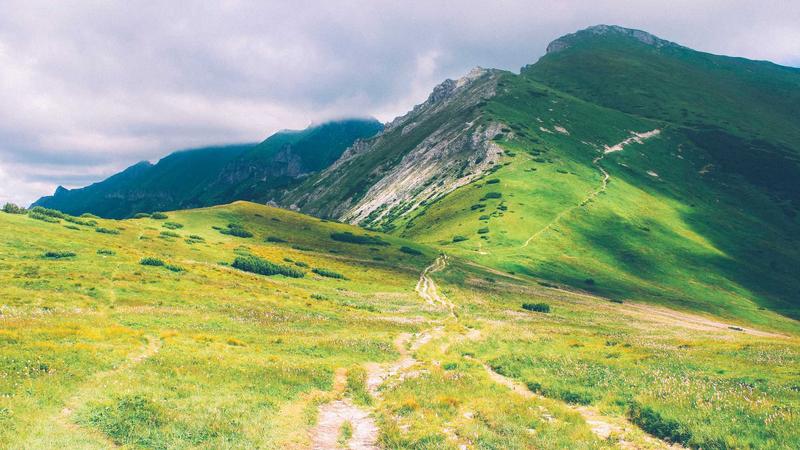 Featured image for Aidebug Net article