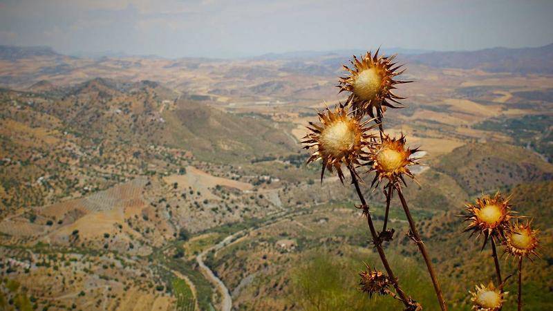 Featured image for Aidebug Net article